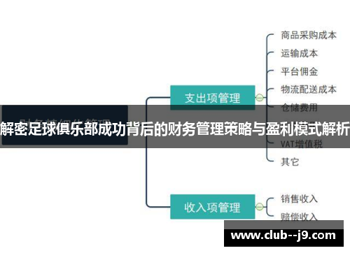 解密足球俱乐部成功背后的财务管理策略与盈利模式解析