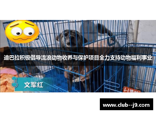 迪巴拉积极倡导流浪动物收养与保护项目全力支持动物福利事业