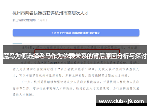 魔鸟为何选择老马作为依赖关系的背后原因分析与探讨 魔鸟为何选择老马作为依赖关系的背后原因分析与探讨