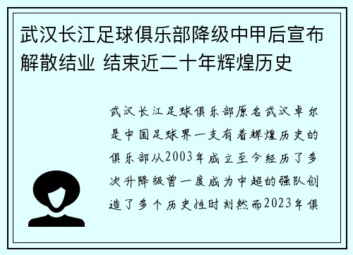 武汉长江足球俱乐部降级中甲后宣布解散结业 结束近二十年辉煌历史